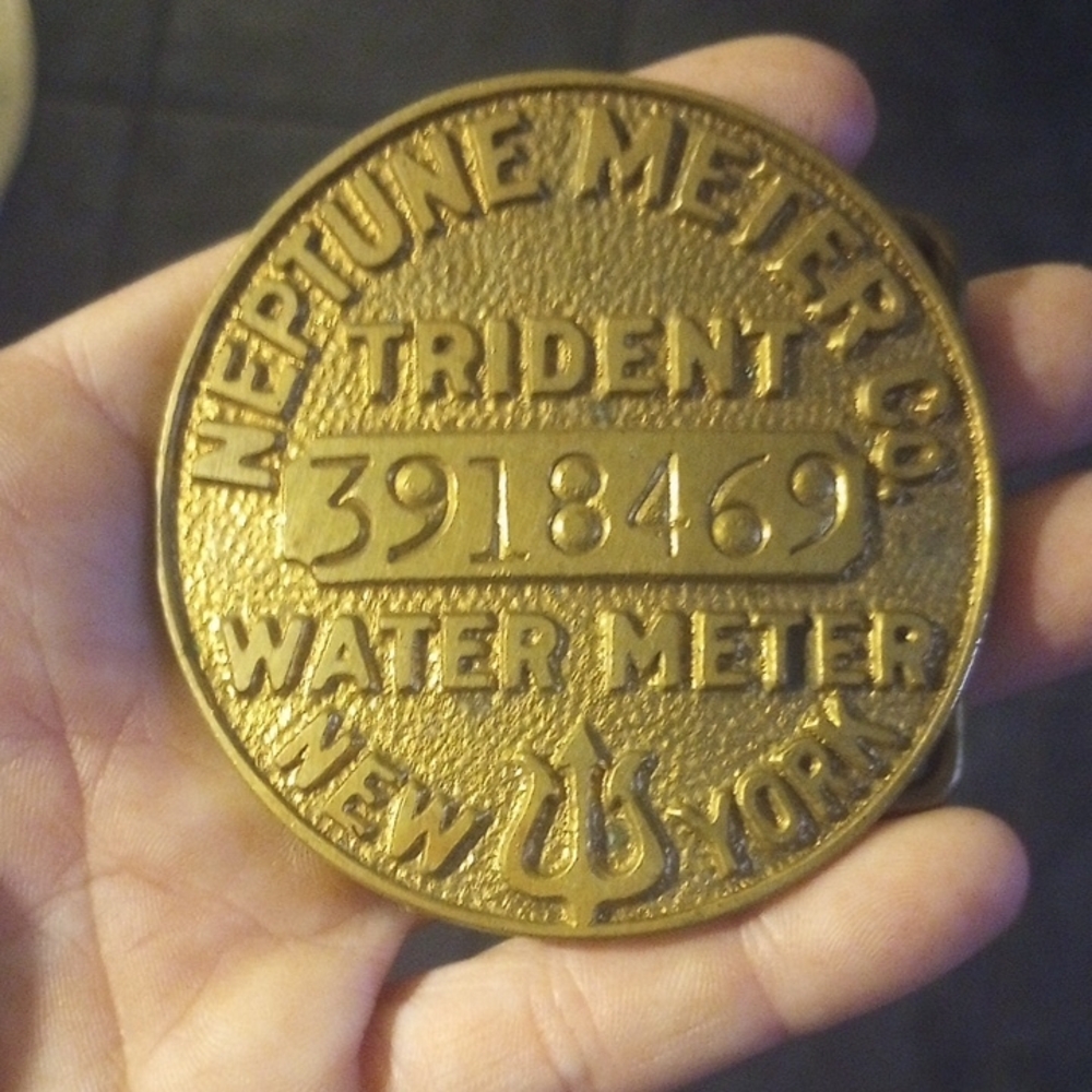 Gold Neptune Water Meter Cover, Belt Buckle